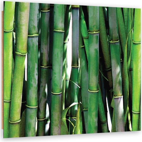 Quadro deco panel, Bamboo verde - 40x40 (1/5)