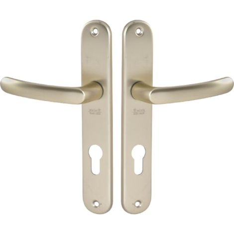 Set de Poignée de Porte sur Grande Plaque - Version Clé I, Porte d'Entrée, Bureau, Garage - Entraxe 195 mm - Système de Pose Facile - Aluminium Résistant - Finition Champagne (1/5)