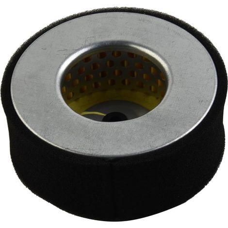 Élément Filtrant Air Pur pour Moteur 170F 178F Compatible 170F 178F, filtration pour efficace, matériau solide, longue durée, générateur diesel (1/5)