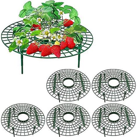 lot De 5 Cadres De Fraises - Support De Fraise Rglable Avec 4 Pieds - Support Pour Plantes - Protection Contre Les Escargots - Protection Contre L (1/5)