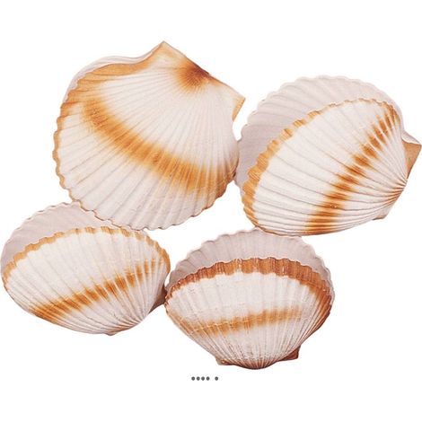 Coquille saint jacques artificielle X 4 en Plastique soufflé D 150 mm (1/3)