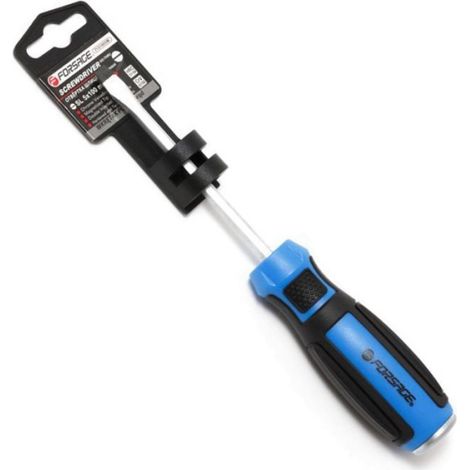 Tournevis Plat - Acier Cr-V - Pointe SL5 - Longueur 100 mm - Pour Visage Et Réparation - 1 Pièce