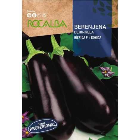 ROCACBA Benica Berenjena Seed F-1 100g