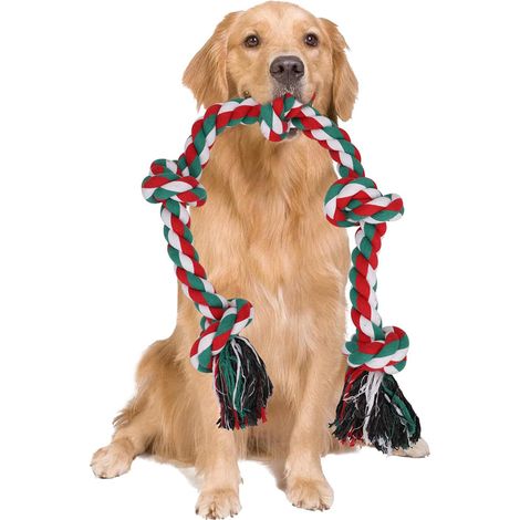 Corde indestructible pour chiens de grande taille et puissants, jouet en corde pour chien, 90 cm, 5 nœuds, corde pour mâcher avec vigueur, corde interactive pour chiens de races moyennes et grandes. (1/5)