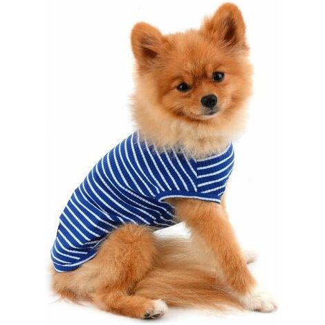 T-Shirt Chien Rayé Sans Manches En Coton Pour Petit Chien Été Bleu Taille M (1/5)