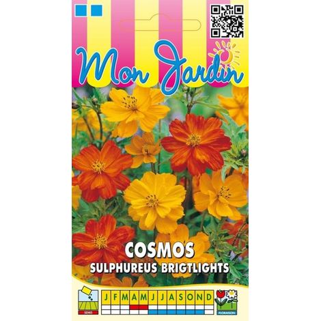 Cosmos sulphureus Brightlights - 1g