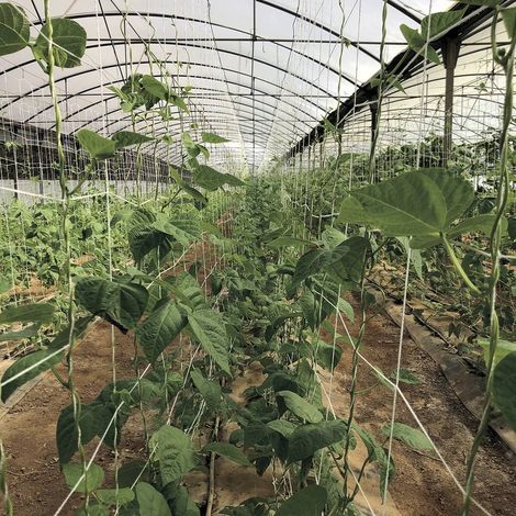 Malla de celulosa trellinet compost 2x5 m nortene