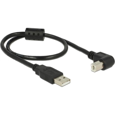 Delock Câble USB USB 2.0 USB-A mâle, USB-B mâle 0.50 m noir 84809