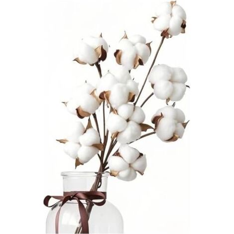 10 Fleurs de Coton Sechees Naturelles, Bouquet Fleurs de Coton Séchées, Branches Coton, Fausses Plantes Séchée pour Balcon Maison Table Composition Florale Mariage (1/5)