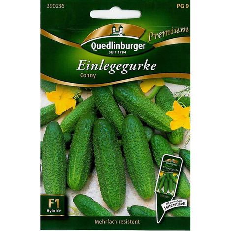 Quedlinburger Einlegegurke Conny - Gemüsesamen (1/2)