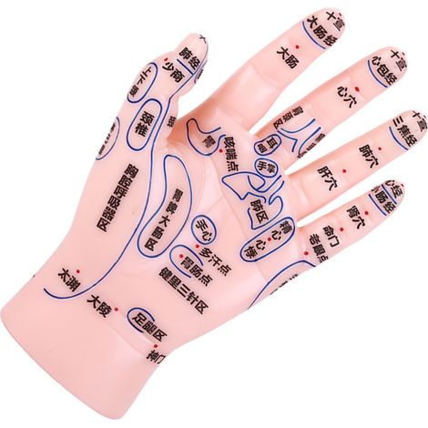 Modèle de Réflexologie des Points D’acupuncture Main en Pvc Rose Simulation Réaliste, Aide Pédagogique, Facile à Nettoyer, pour Enseignement Tcm et Formation Médicale (1/5)