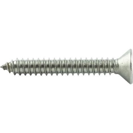 100 Stück 4X10 mm Edelstahl - Spanplattenschrauben Torx - Vollgewinde - Holzbauschrauben mit Senkkopf - Edelstahlschrauben (1/2)