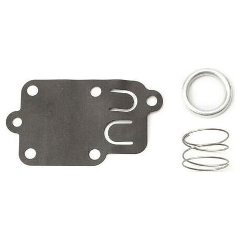 Membrane carburateur Briggs et Stratton (1/5)