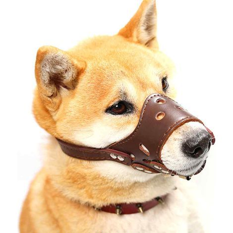 Verstellbarer Maulkorb aus weichem, braunem Leder für kleine, mittlere und große Hunde (1/5)