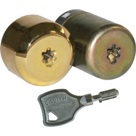 Jeu de cylindre CAVITH CAVERS pour serrure cambrée A2P3 ISEO 56300061