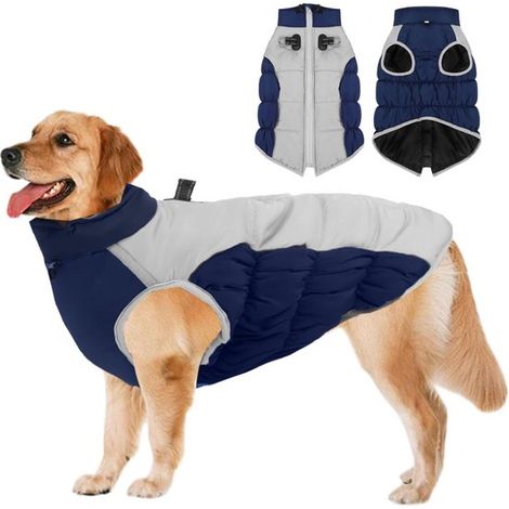 Abbigliamento invernale per cani, impermeabile e antivento, collare regolabile per un calore ottimale, cerniera sul dorso, strisce e piedini riflettenti. (1/5)