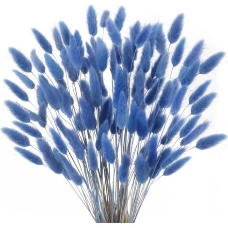 Fleurs séchées - - 120 pièces - 45 cm - Bleu - Herbe de Pampa naturelle ENEVAOCT (1/4)