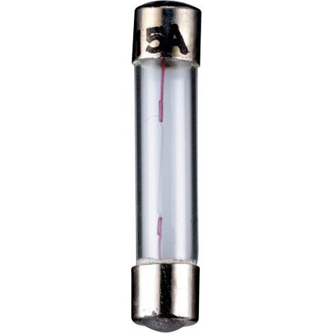 goobay Ampoule de Type Fusible, 1,6 W 6,3 V (DC), 250 mA (9382) (1/2)