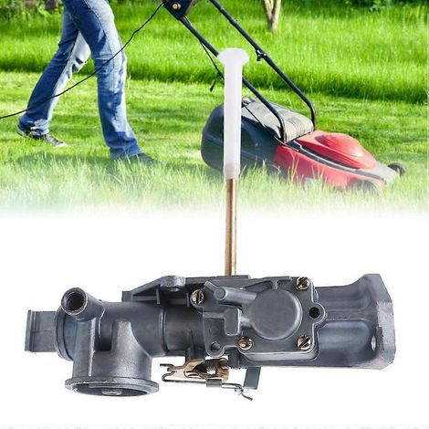 Carburateur de remplacement pour 100202-0165-99 pour 299437 (1/4)