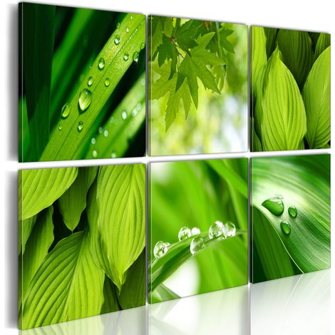 Tableau Imprimé "Feuilles Vertes Fraîches" 40 x 60 cm (1/2)