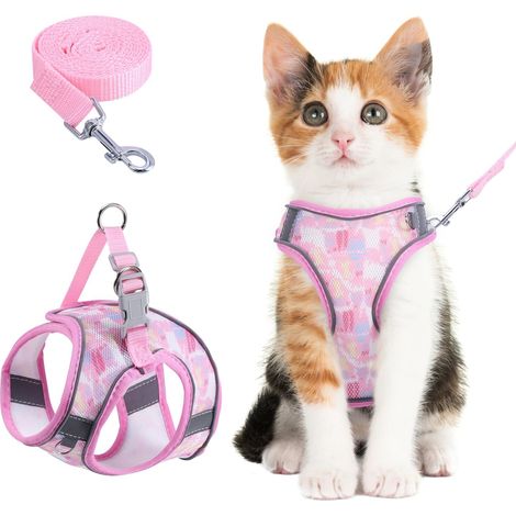 Harnais pour chat avec laisse - Ensemble de harnais réglable et respirant pour chaton et petit chien - Confortable et sécurisé (1/5)