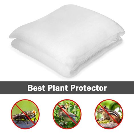 Filet de jardin anti-insectes à mailles fines (10 m x 2,5 m), maille 60, idéal pour les potagers et les fleurs. (1/5)