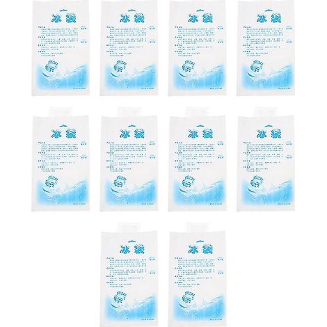 10 sacs à glace réutilisables