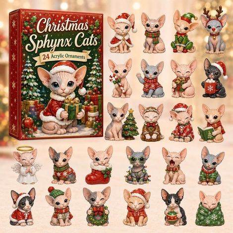 Chat Sphynx calendrier avent 2026 2D boîte surprise