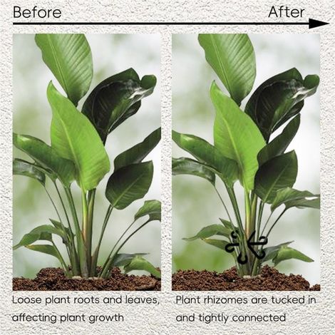 Clip Plastique Pour Plantes - Support Réutilisable Pour Lianes Tomates Vignes - Fixation Sur Tiges Et Supports - Lot De 4 (1/5)