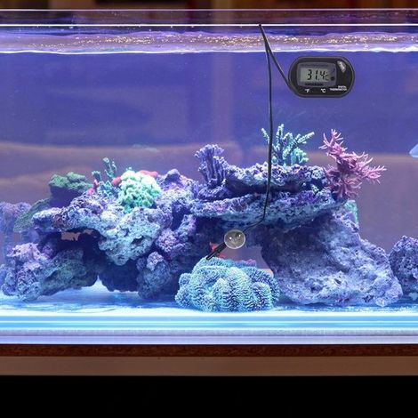 Digitales Thermometer für Aquarien – Thermometer – Elektronisches Thermometer – Zubehör für tropische Aquarien (1/5)
