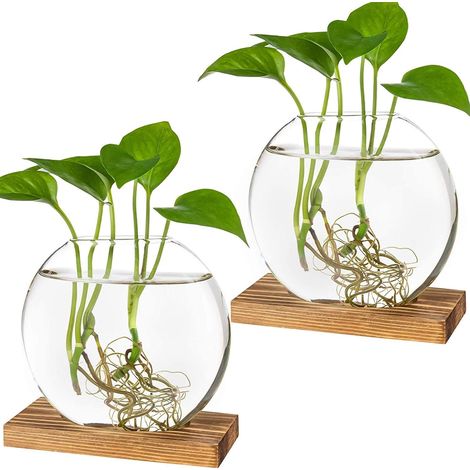 Set da 2 contenitori in vetro per la propagazione di piante – Fioriera rotonda con supporto in legno per piante idroponiche – Terrario decorativo per casa e ufficio (marrone) (1/4)