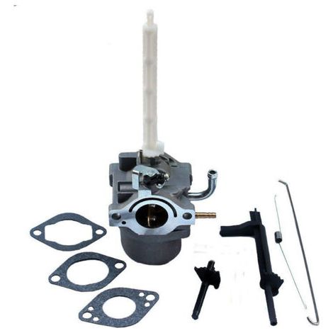 Vergaser für Briggs & Stratton 796122 794593 20A (1/4)
