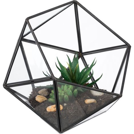 Terrario para plantas Relaxdays, vidrio y estaño, invernadero decorativo para cactus y musgo, caja abierta, negro (1/5)