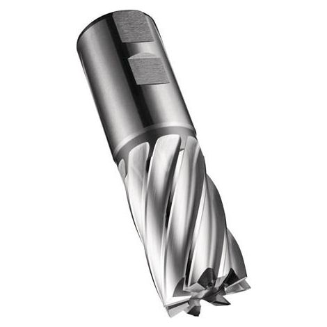 Fraise à arbre C247 DIN 844 K D.26mm Lame-Longueur 45mm HSS-E-PM Vide 30° Z.6 (1/4)