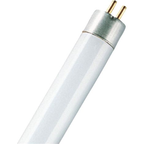 Tubo fluorescente EDM T5 (8W 6400K 400lm) IP20 Ø16x286mm colore bianco opaco