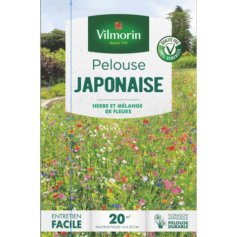 Vilmorin – Pelouse japonaise – Mélange fleuri pour tapis décoratif – Installation rapide et simple – Ne nécessite pas de tonte
