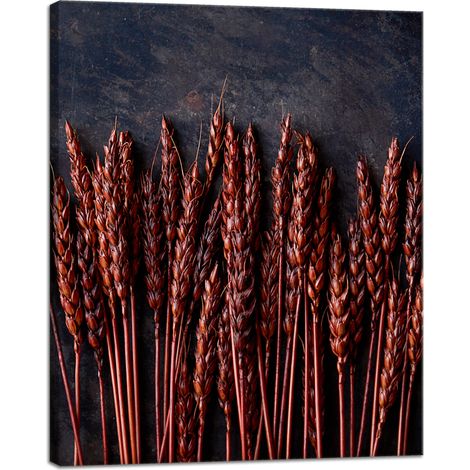 Leinwanddruck Botanik Dunkler Weizen 40x50 cm