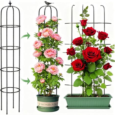 Traliccio a obelisco da giardino per piante rampicanti, alto 180 cm, struttura di supporto in metallo antiruggine per piante in vaso, rose, pomodori, cetrioli, fiori, uva, piselli