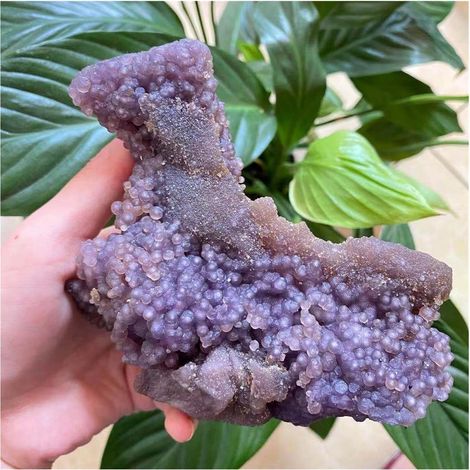 Rare Top Natural Grape Agate Crystal Quartz Spécimen ReikiAntiques Exorcise Evil Spirits Money Drawing Pierre Semi-précieuse Jade Jaspery Natural Collections de la Maison (Size : 200-250g) (1/5)