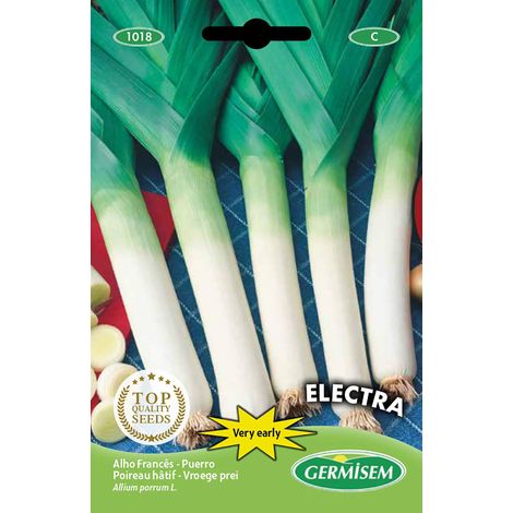 Germisem graines Poireau hâtif ELECTRA