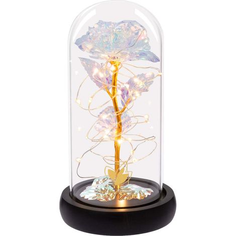 Roses artificielles colorées La Belle et la Bête, sous cloche en verre (1/5)