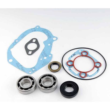 lager oder dichtung spi motor teknix für roller rieju 50 first lc