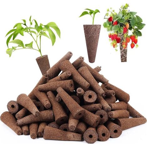 Éponges de culture hydroponique 50 pièces – Éponges de remplacement pour système de culture – Supports de germination pour légumes fraises fleurs et plantes hydroponiques (1/5)