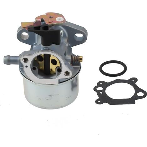 498965 494216 493422 494971 Carburador de cortacésped