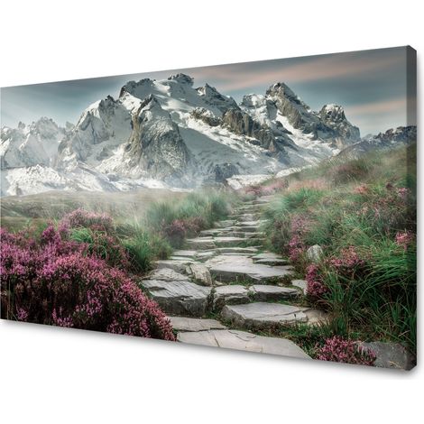 Leinwanddruck Natur Heide in den Bergen 40x30