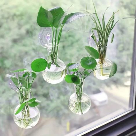 Bouteille de propagation de plantes murale mini moderne, vase à fleurs suspendu, pot à fleurs rond, décoration maison pour plantes en hydroponie, composants de tiges, usage intérieur et extérieur (1/4)
