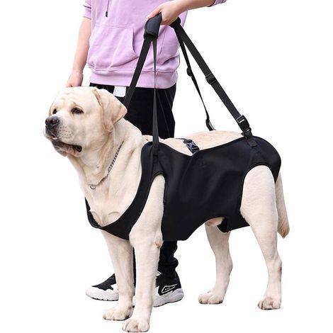 Imbracatura di supporto per le zampe di cani anziani, imbracatura di sollevamento per la riabilitazione dei cani anziani per passeggiate, addestramento riabilitativo e (1/5)