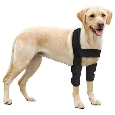 Atmungsaktiver Ellenbogenschutz für Hunde, zur Unterstützung von Ellenbogen und Schulter bei Ekzemen bei Hunden, Dysplasie bei chirurgischen Verletzungen bei Hunden, M