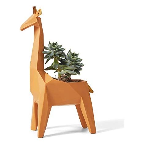 Girafe en pot de fleurs (1/2)