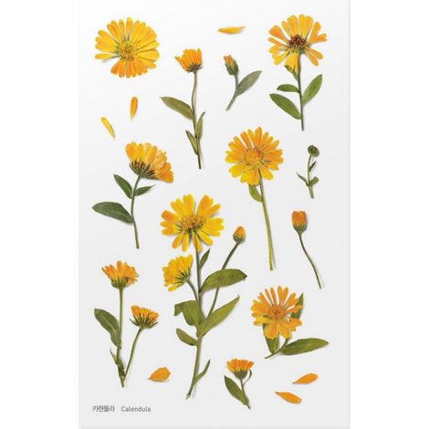 Adesivi decorativi APPREE a forma di fiore di calendula - per bullet journaling e scrapbooking